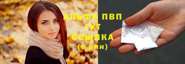 шишки Беломорск