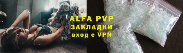шишки Беломорск