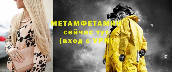 шишки Беломорск
