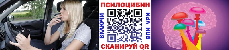 МЕГА рабочий сайт  Дагестанские Огни  Псилоцибиновые грибы Cubensis 